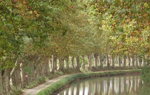 Languedoc-Roussillon Ph&aacute;p